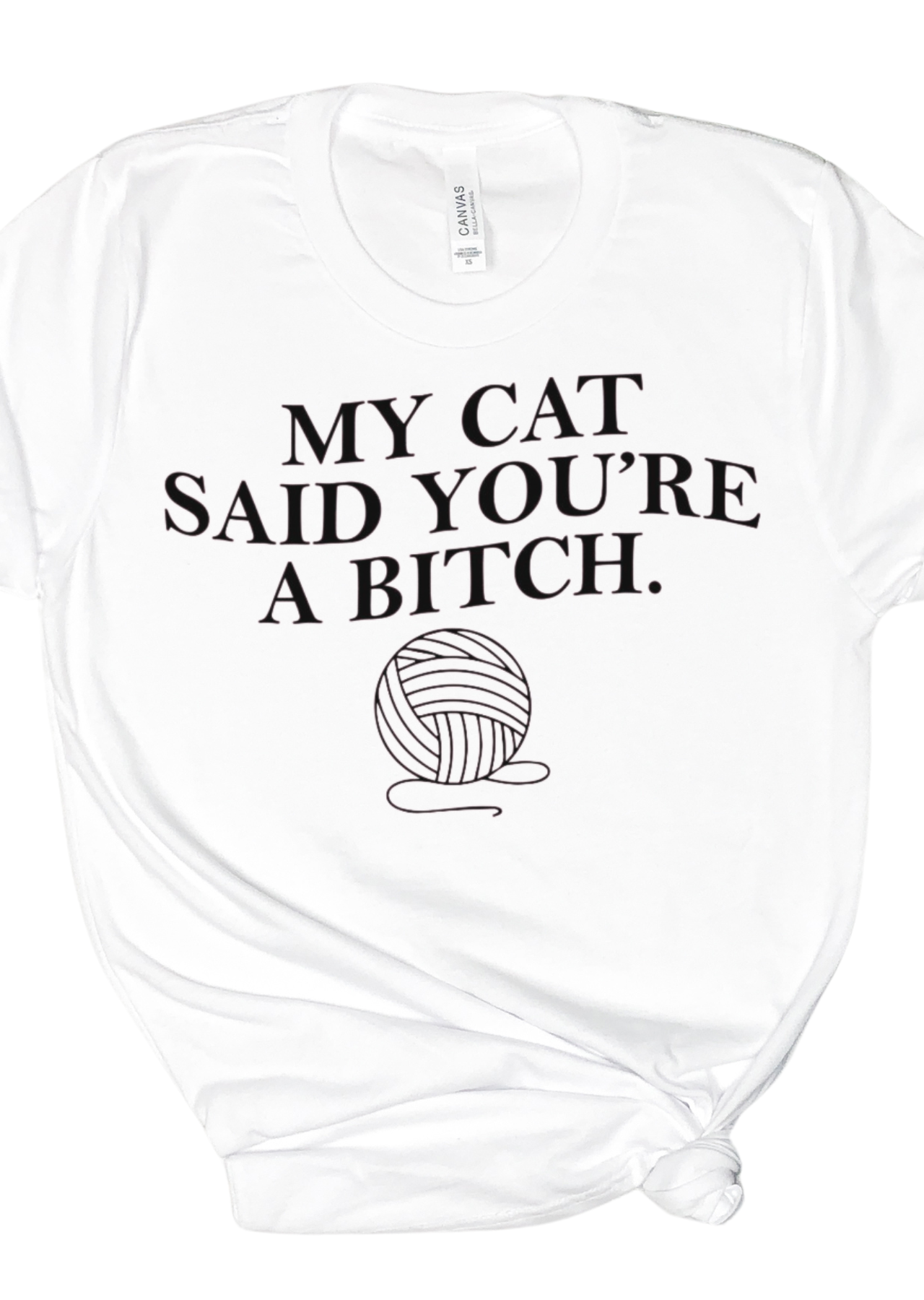 My Cat Said It Bella Canvas T-Shirt